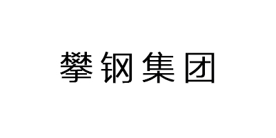 攀鋼集團(tuán)